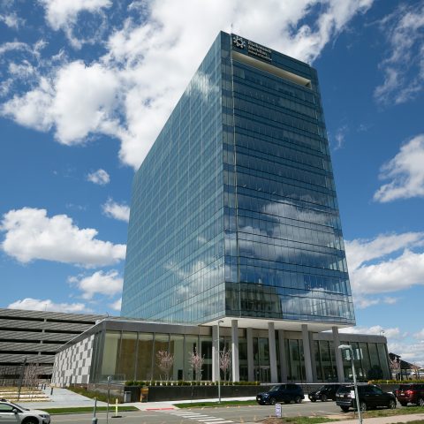 Global Pharmaceutical Company